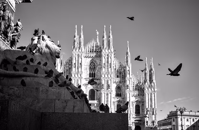 Black and white photo of Milan Cathedral with pigeons perched and flying around a stone lion statue in the foreground.